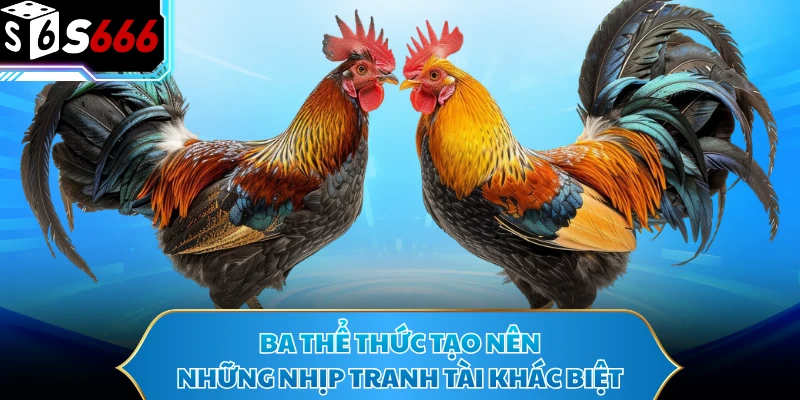 Đá Gà Thomo - Bùng Nổ Với Những Màn Đối Đầu Tốc Độ Cao 4 Ba thể thức tạo nên những nhịp tranh tài khác biệt