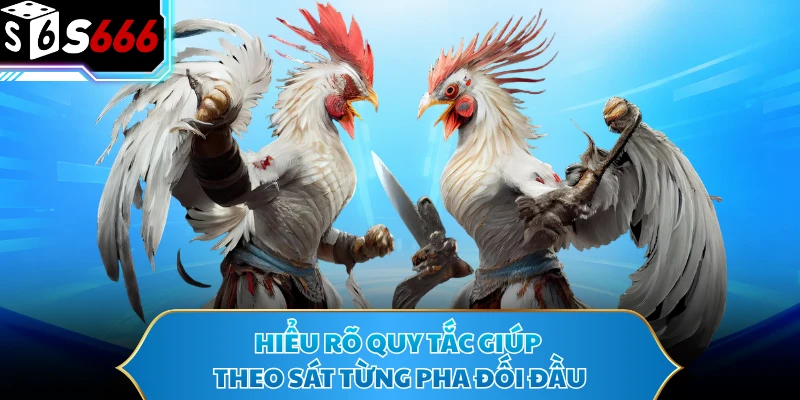 Đá Gà Thomo - Bùng Nổ Với Những Màn Đối Đầu Tốc Độ Cao 3 Hiểu rõ quy tắc giúp theo sát từng pha đối đầu